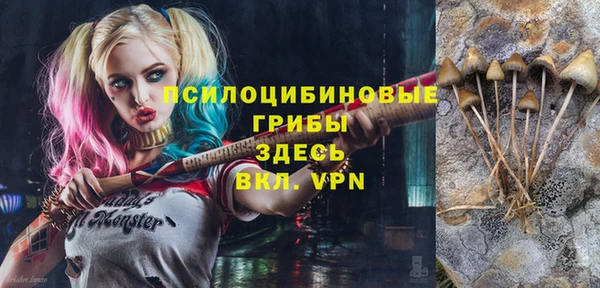 МДПВ Бородино