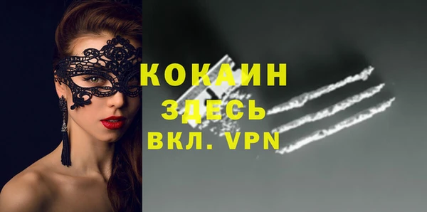 МДПВ Бородино