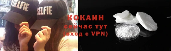 бошки Болотное
