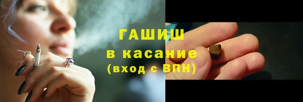 МДПВ Бородино