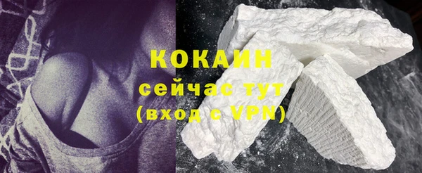 МДПВ Бородино
