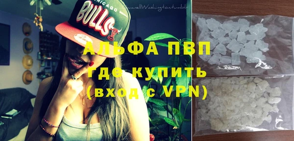 МДПВ Бородино