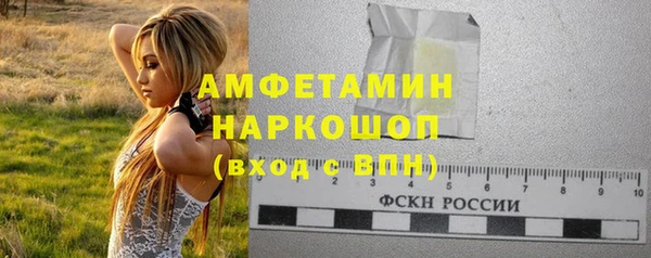МДПВ Бородино