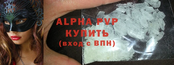 МДПВ Бородино