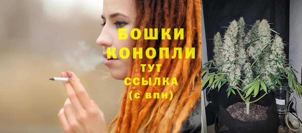 МДПВ Бородино