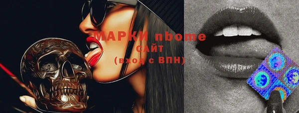 МДПВ Бородино