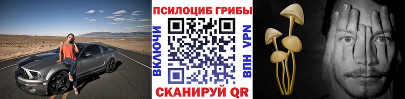 как найти   Верхний Уфалей  Псилоцибиновые грибы GOLDEN TEACHER 